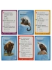 Игра настольная животные планеты Земля 40 карточек
